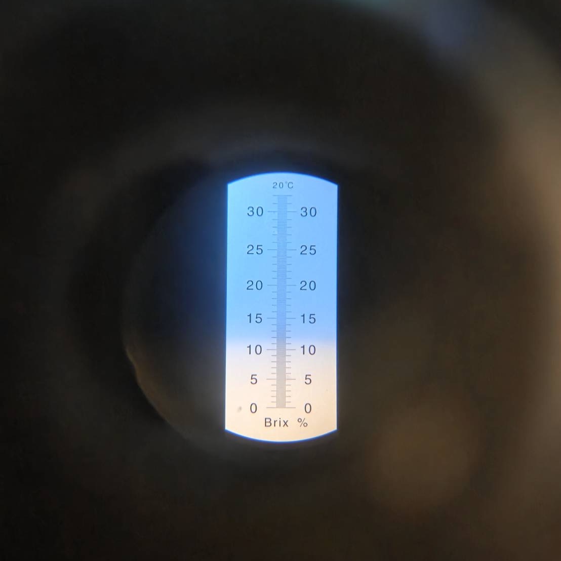 甜度計實測照片
